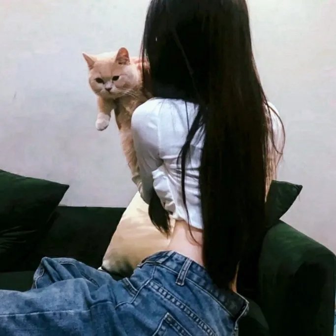 狄小肆之幽冥飞狼